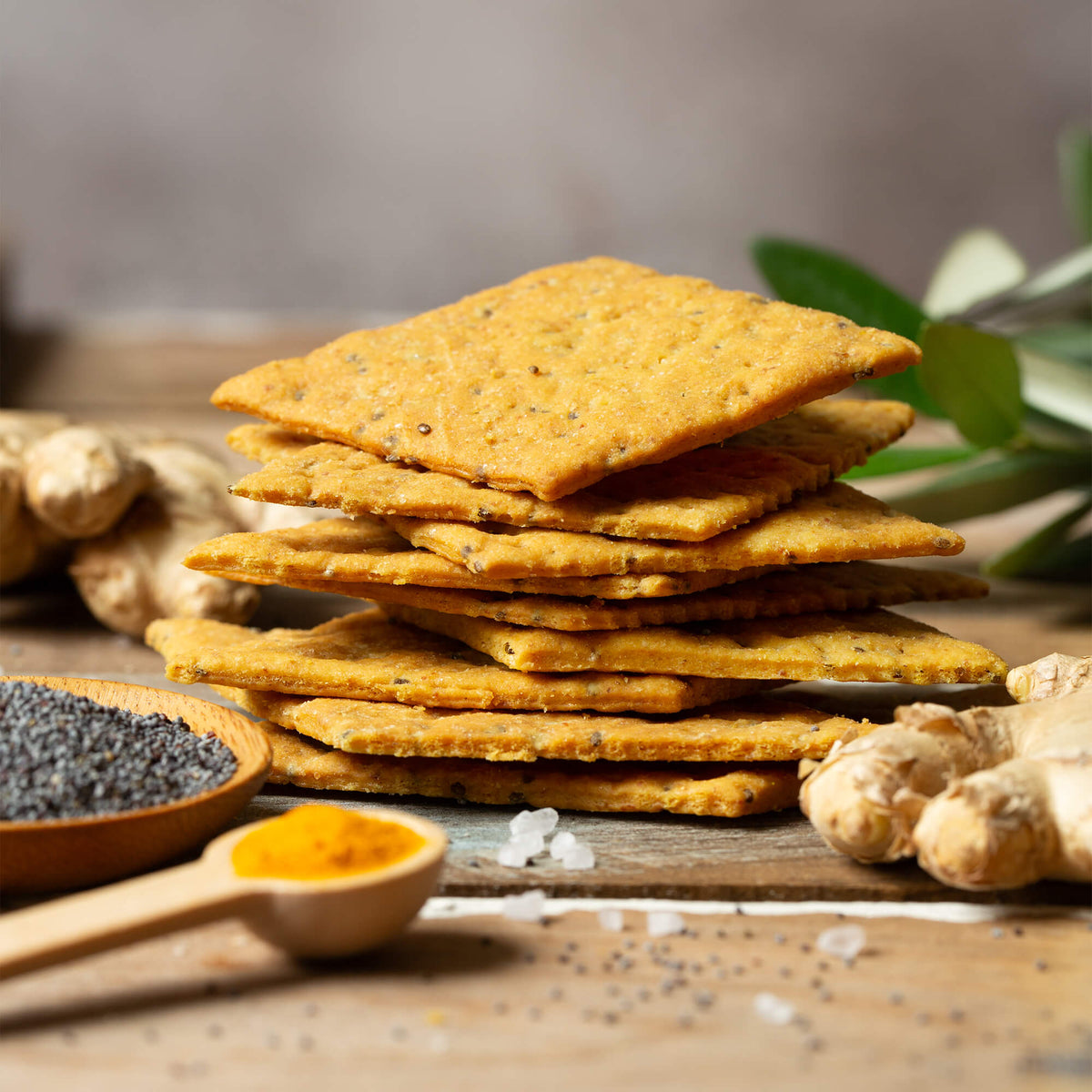 Crackers and Biscuits (6 pack) - EMILIA FOOD LOVE Selected with love in Italy
