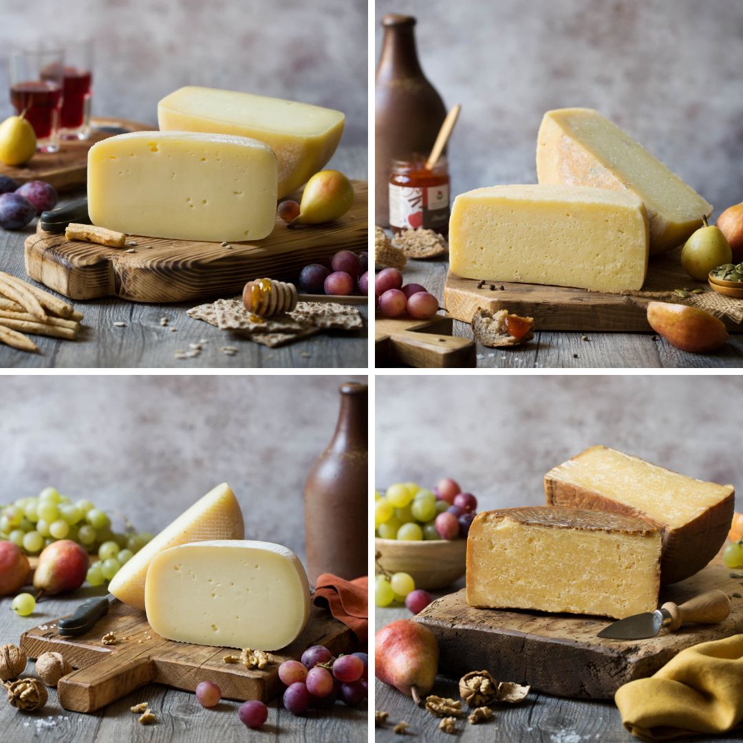 Pecorino Tasting (4 packs) - EMILIA FOOD LOVE Selected with love in Italy